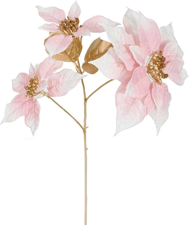 EGYPTIAN POINSETTIA STEM